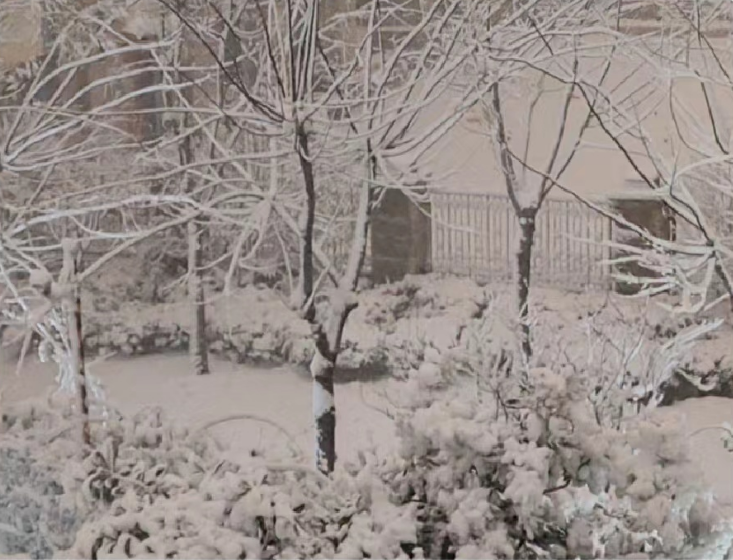 2023年第一场雪